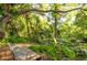Backyard has a wooden seating platform and a natural landscape with a stream at the edge of the property at 1880 Belleair Rd, Clearwater, FL 33764