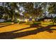 Charming home with inviting outdoor patio, enveloped by mature trees and a spacious landscaped yard at 1880 Belleair Rd, Clearwater, FL 33764