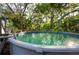 A close up view of the backyard pool and the lush, tropical landscaping surrounding it at 1880 Belleair Rd, Clearwater, FL 33764