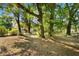 Tree-lined backyard with rope swing creating a serene setting at 27477 Old Trilby Rd, Brooksville, FL 34602