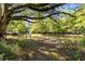 Waterfront view from the property showcasing a private dock, offering serenity and natural beauty at 29133 Lawton Dr, Nobleton, FL 34661