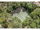Aerial view of a tennis court nestled among mature trees in a community at 3241 Fox Chase N Cir # 106, Palm Harbor, FL 34683