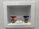 Close up of red and blue hookups in the utility room for your washer and dryer at 34141 Tree Lake Dr, Wesley Chapel, FL 33543