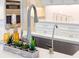 Close-up of a stylish kitchen sink with modern fixtures and decorative elements adding charm to the space at 5329 Windy Grove Dr, Wimauma, FL 33598