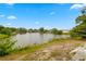 Backyard view with a lake in the distance at 1023 Springtime Dr, Holiday, FL 34691