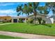 Charming home features a manicured lawn, painted exterior, and lush tropical landscaping at 1648 Arbor Dr, Clearwater, FL 33756