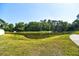 Scenic pond view surrounded by lush greenery, offering a tranquil and natural setting at 1704 Via Palermo St, Plant City, FL 33566