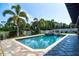 Serene backyard pool area surrounded by tropical palm trees and landscaped grounds at 1704 Via Palermo St, Plant City, FL 33566