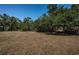 Large, private backyard with plenty of trees and space for outdoor activities at 2700 Westchester N Dr, Clearwater, FL 33761