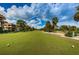 Expansive golf course view with manicured green grass, and towering palm trees at 2700 Westchester N Dr, Clearwater, FL 33761