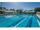 A sparkling swimming pool with clear blue water and neat lane markers, perfect for swimming laps at 2700 Westchester N Dr, Clearwater, FL 33761