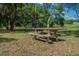 Relax and enjoy a meal at this charming wooden picnic table set in a tranquil, grassy area surrounded by trees at 785 Hickory Ln, Palm Harbor, FL 34683