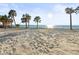 Beautiful beachfront with soft sand, palm trees, and a safety fence at 8030 Manasota Key Rd, Englewood, FL 34223