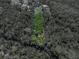 A captivating aerial view of a sprawling property with lush, mature trees and waterfront views at 13004 Bell Creek Chase, Riverview, FL 33569