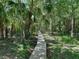 Scenic wooden path winding through a lush, green wooded area, offering a serene and private escape at 13004 Bell Creek Chase, Riverview, FL 33569