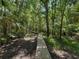 Scenic wooden path winding through a lush, green wooded area, offering a serene and private escape at 13004 Bell Creek Chase, Riverview, FL 33569