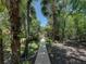 Scenic wooden path winding through a lush, green wooded area, offering a serene and private escape at 13004 Bell Creek Chase, Riverview, FL 33569