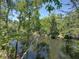 Scenic river framed by lush green trees, offering a serene and tranquil view at 13004 Bell Creek Chase, Riverview, FL 33569