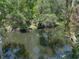 Picturesque river reflecting the lush greenery, creating a tranquil and scenic backdrop at 13004 Bell Creek Chase, Riverview, FL 33569