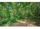 Wooded backyard with lush trees and foliage offering privacy and a natural setting at 19610 Sunset Bay Dr, Land O Lakes, FL 34638