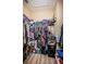 Walk-in closet featuring built-in shelving, hanging racks, and ample storage space at 19610 Sunset Bay Dr, Land O Lakes, FL 34638