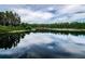 Picturesque lake with treelined shore reflecting the bright sky and cloudscape on a partly cloudy day at 19610 Sunset Bay Dr, Land O Lakes, FL 34638