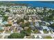 Extensive suburban neighborhood featuring single Gathering homes, foliage, and a lake in the distance at 3039 Sean Way, Palm Harbor, FL 34684
