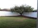 Backyard features a large shade tree, green grass, and a white privacy fence at 30434 Colehaven Ct, Wesley Chapel, FL 33543