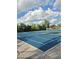 Outdoor community basketball court featuring blue playing surface and well-maintained hoops at 30434 Colehaven Ct, Wesley Chapel, FL 33543