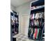 Spacious walk-in closet with custom blue shelving and storage racks at 4294 Cork Rd, Plant City, FL 33565