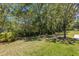 Expansive backyard with mature trees providing ample shade at 4425 Connery Ct, Palm Harbor, FL 34685