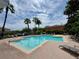 Enjoy this community pool with palm trees, lounge chairs, and brick-paved patio at 6831 Dartmouth Hill St, Riverview, FL 33578