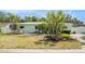 Well landscaped yard featuring palm trees, bushes, and trimmed green grass at 736 85Th N Ave, St Petersburg, FL 33702