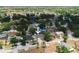 A birds eye view of a single-story home in a residential neighborhood with many trees and foliage at 12815 Tallowood Dr, Riverview, FL 33579