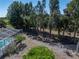 Expansive backyard with a fenced-in pool offers a perfect blend of privacy and outdoor enjoyment at 14721 Scharber Rd, Dade City, FL 33525