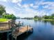 Dock extends onto water, offering relaxing view of surrounding greenery and city skyline at 2780 N Riverside Dr # 802, Tampa, FL 33602