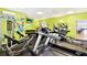 Well-equipped gym featuring treadmills, weights, and exercise machines at 9 Haig Pl # 510, Dunedin, FL 34698