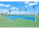 Well-maintained tennis courts surrounded by lush greenery and blue skies at 9 Haig Pl # 510, Dunedin, FL 34698