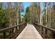 Inviting wooden walking trail bridge surrounded by lush forest and trees, creating an ideal setting for outdoor recreation at 9451 Raised Tulip Ln, Land O Lakes, FL 34637