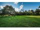Large grassy backyard with mature trees, blue sky, and white clouds at 11833 Castine St, New Port Richey, FL 34654