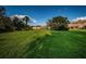 Large grassy backyard with mature trees, blue sky, and distant multi-Gathering homes at 11833 Castine St, New Port Richey, FL 34654