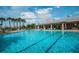 Large community swimming pool with lounge chairs, palm trees, and a recreation building at 11833 Castine St, New Port Richey, FL 34654