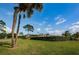 Well-maintained lawn area with mature trees provides a serene environment for the community at 124 Nina Way # 24, Oldsmar, FL 34677