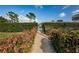 Pathway leading to the gated community pool area surrounded by lush landscaping at 124 Nina Way # 24, Oldsmar, FL 34677