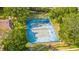 Aerial shot of community tennis court surrounded by mature trees providing shade and recreational opportunities at 140 Brent Cir, Oldsmar, FL 34677