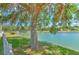 Scenic lake view with a tree adorned with Spanish moss, creating a tranquil and picturesque setting at 1624 Maximilian Dr, Wesley Chapel, FL 33543