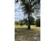 Wide open backyard featuring mature trees at 17127 Brown Rd, Odessa, FL 33556