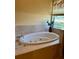 Luxurious soaking tub and natural light with a garden view at 17127 Brown Rd, Odessa, FL 33556