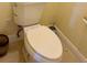 Close-up view of a white toilet in a bathroom with neutral-colored walls and tiled flooring at 17127 Brown Rd, Odessa, FL 33556