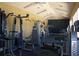 Fitness center featuring modern Precor machines with ceiling fans for a comfortable workout environment at 19116 Nature Palm Ln, Tampa, FL 33647